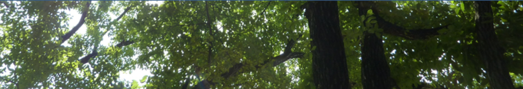 マタニティについて